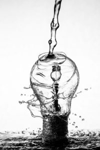 Pulpo Crick - Soluciones digitales que combinan diseño, estrategia y datos con propósito